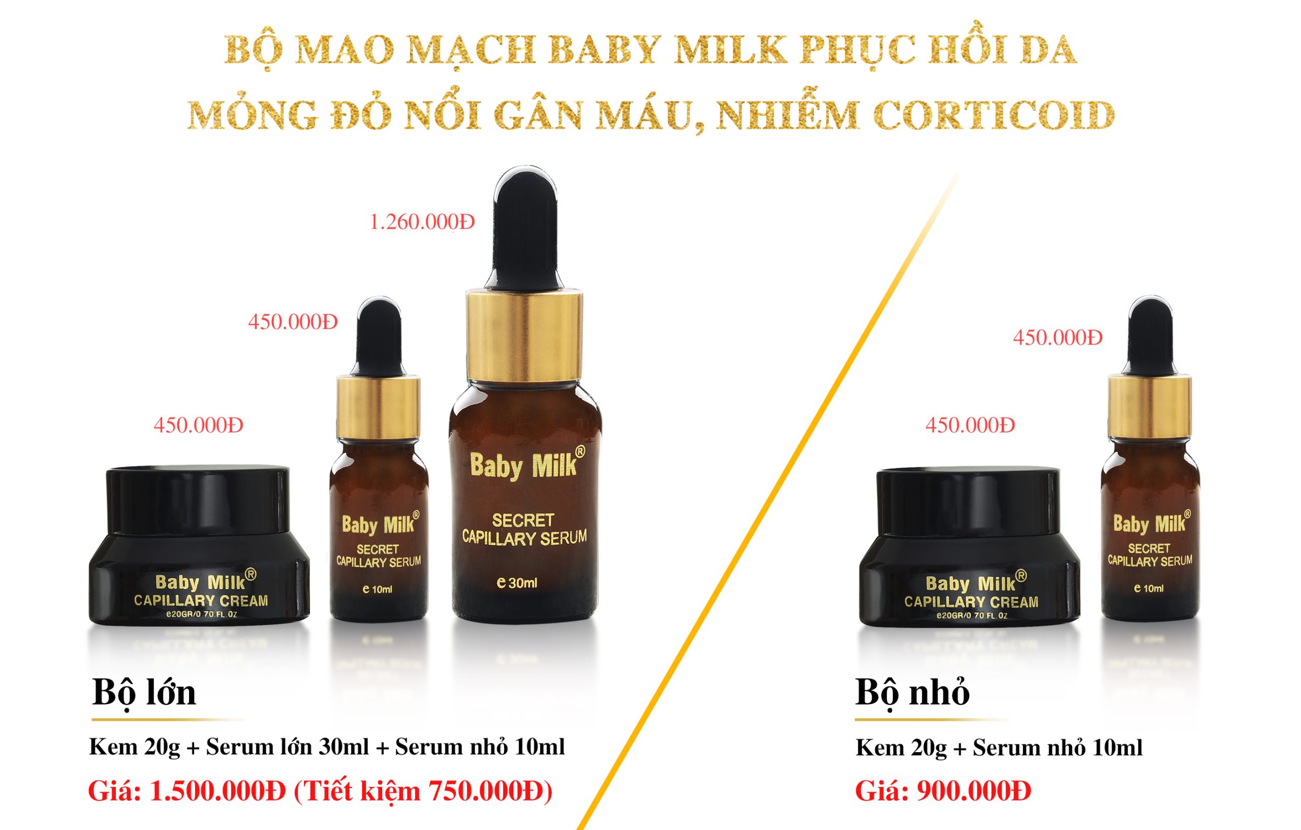 Bộ mao mạch